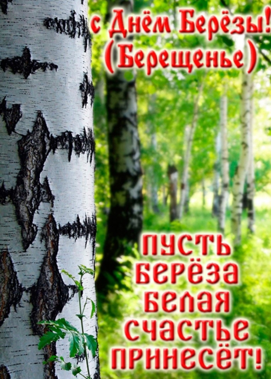 «День березы»..