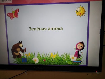 Интерактивная игра &amp;quot;Зеленая аптека&amp;quot;.