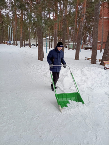 Прогулка в Сосновом бору с пользой.