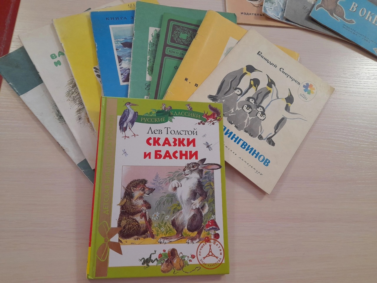 Книжная  выставка в школьной библиотеке на тему: &amp;quot; Писатели и поэты о природе&amp;quot;.